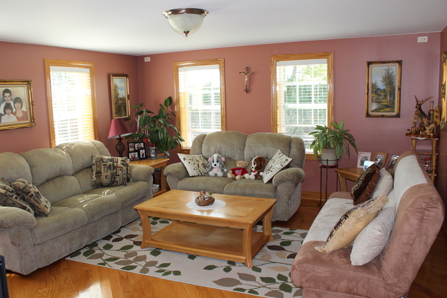 16909 South Gougar Road Lockport, IL 60441 - Photo 12 of 23