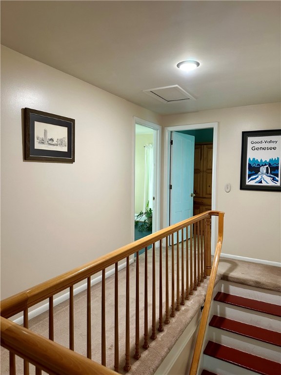 5663 Canadice Lake Road Canadice, NY 14560 - Photo 25 of 46