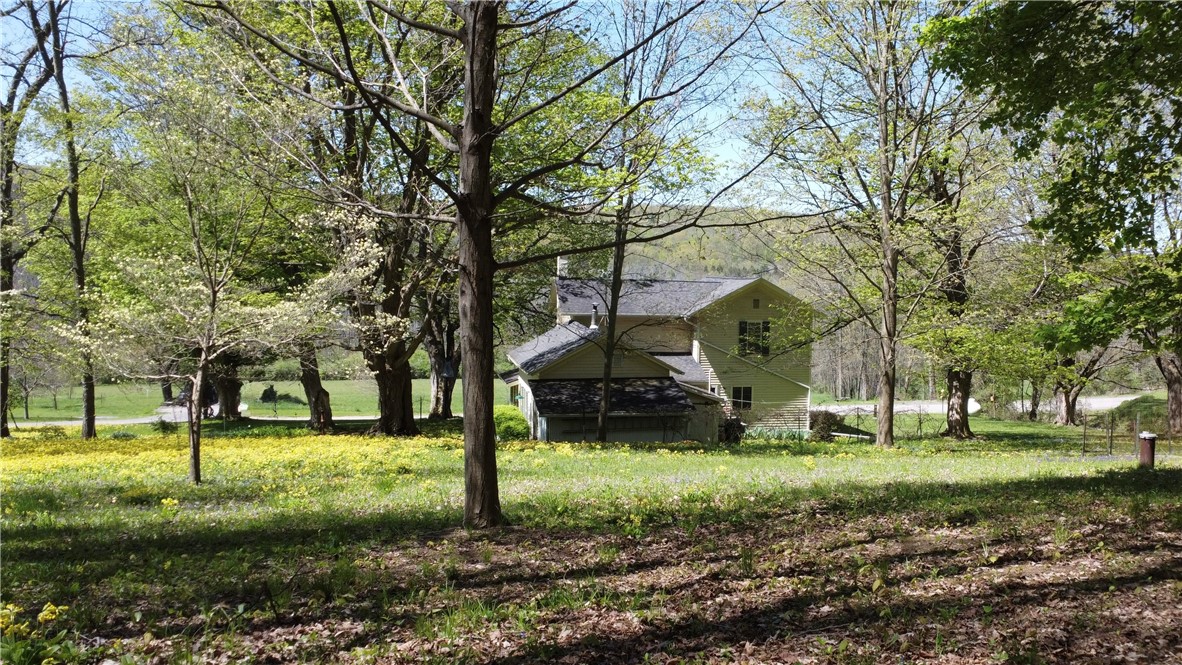 5663 Canadice Lake Road Canadice, NY 14560 - Photo 34 of 46 Back View