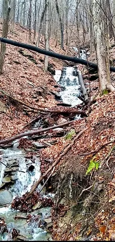 $380,000 | 5663 Canadice Lake Road, Canadice, NY 14560