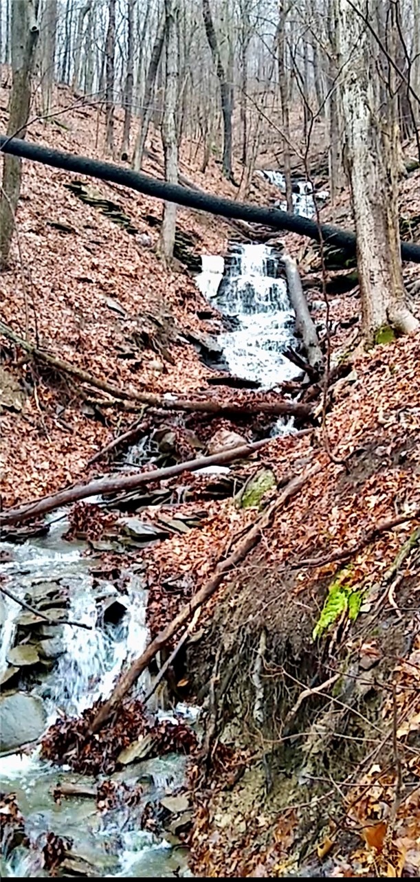 5663 Canadice Lake Road Canadice, NY 14560 - Photo 36 of 46 Waterfall