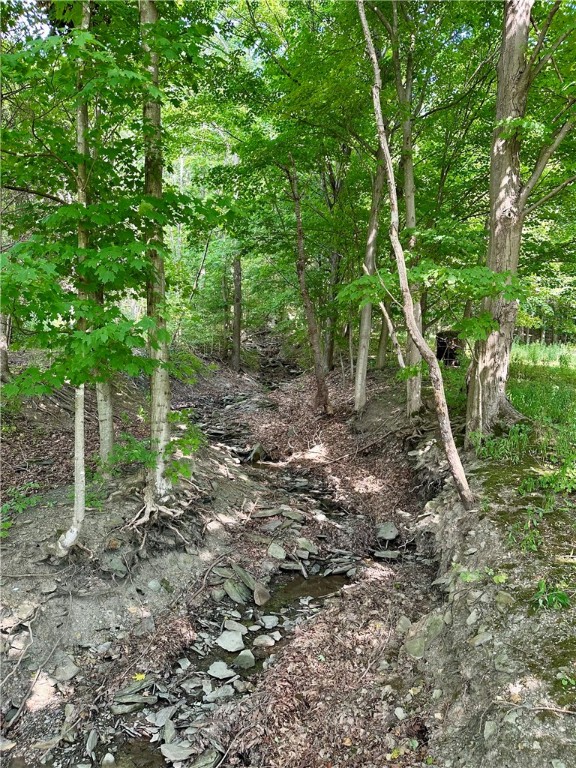 5663 Canadice Lake Road Canadice, NY 14560 - Photo 37 of 46 Creek