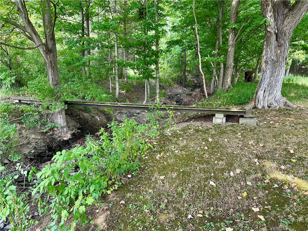 5663 Canadice Lake Road Canadice, NY 14560 - Photo 38 of 46