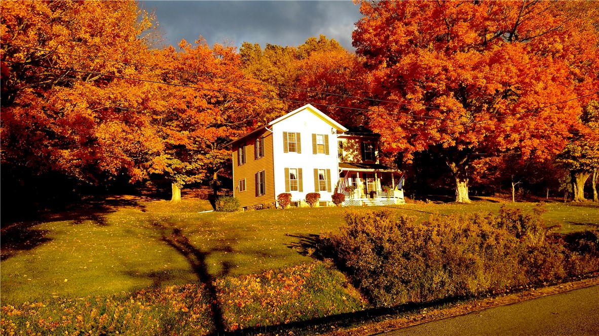 5663 Canadice Lake Road Canadice, NY 14560 - Photo 39 of 46 Fall