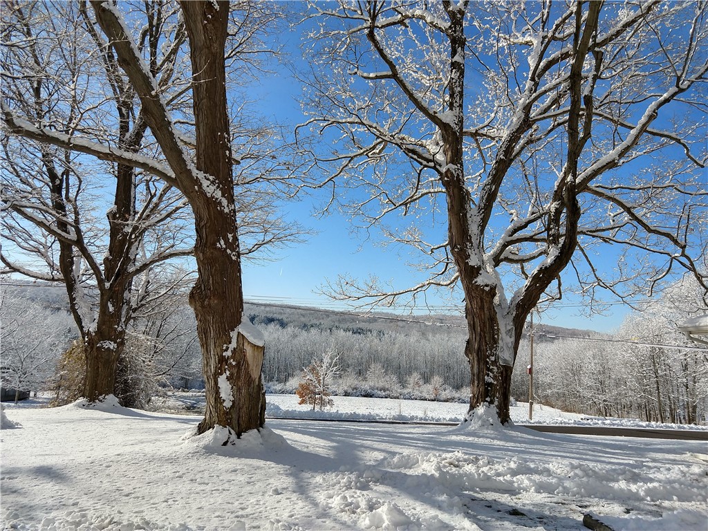 5663 Canadice Lake Road Canadice, NY 14560 - Photo 41 of 46