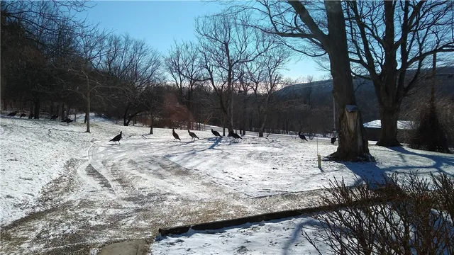 $380,000 | 5663 Canadice Lake Road, Canadice, NY 14560