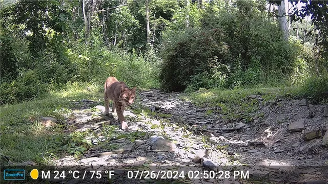 $380,000 | 5663 Canadice Lake Road, Canadice, NY 14560