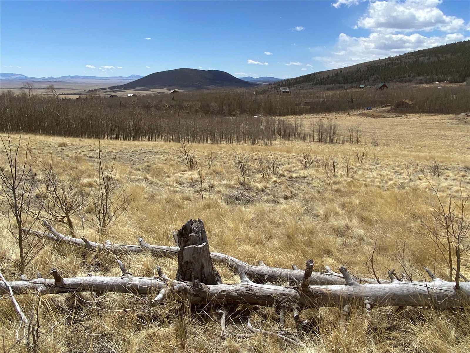 290 Sheep Ridge Road Fairplay, CO 80440 - Photo 31 of 40 Gallery Image 31