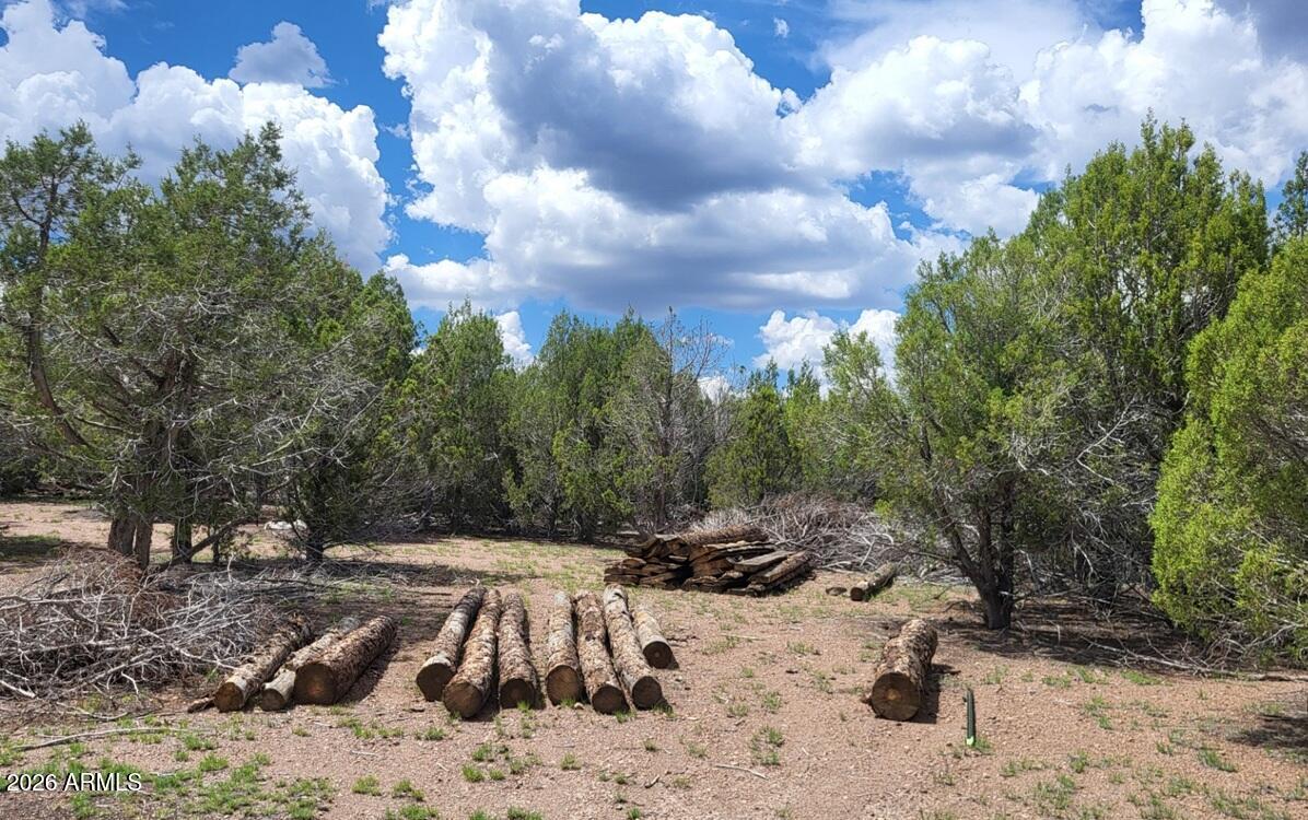 111 North Ranch Road, Unit 111 Williams, AZ 86046 - Photo 10 of 20 bbf22bc8-1d9a-4fea-9740-bf26f4e8c3eb