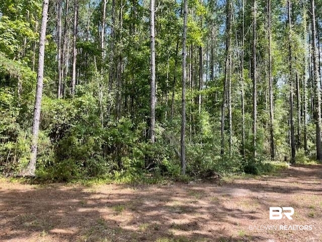 0 Highway 29 Andalusia, AL 36420 - Photo 7 of 9 View of woods