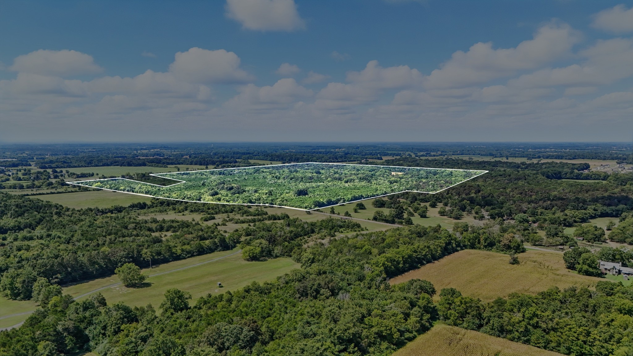 790 Squire Hall Road Bell Buckle, TN 37020 - Photo 42 of 42 a view of a field of grass and trees