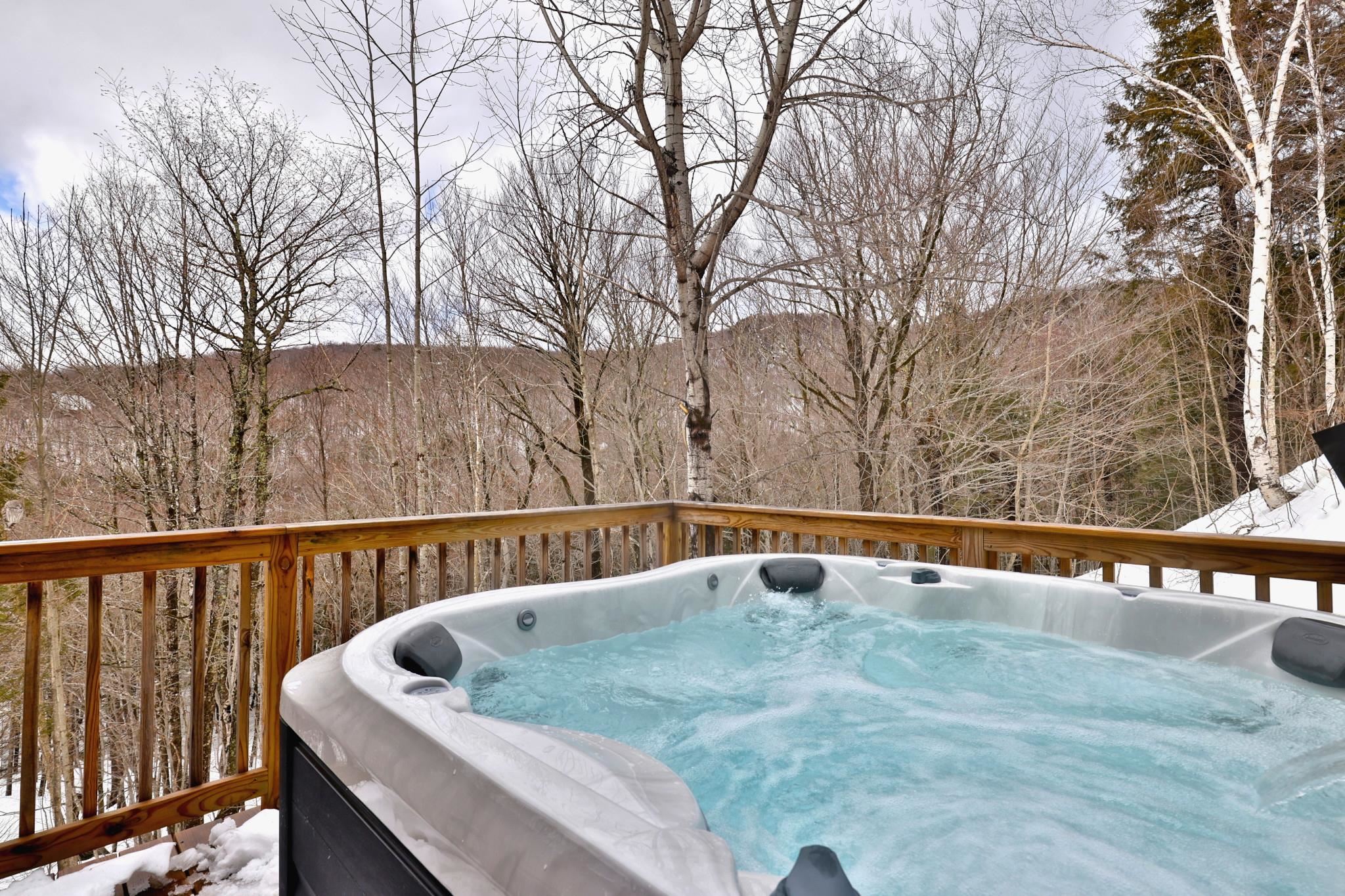529 East Ash Road Plymouth, VT 05056 - Photo 41 of 48 Gallery Image 41