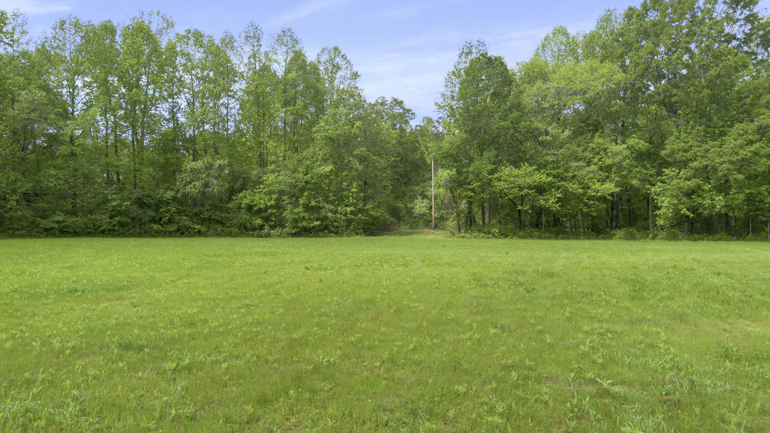 939 Reynolds Bridge Road Benton, TN 37307 - Photo 12 of 23 9_dji_0575