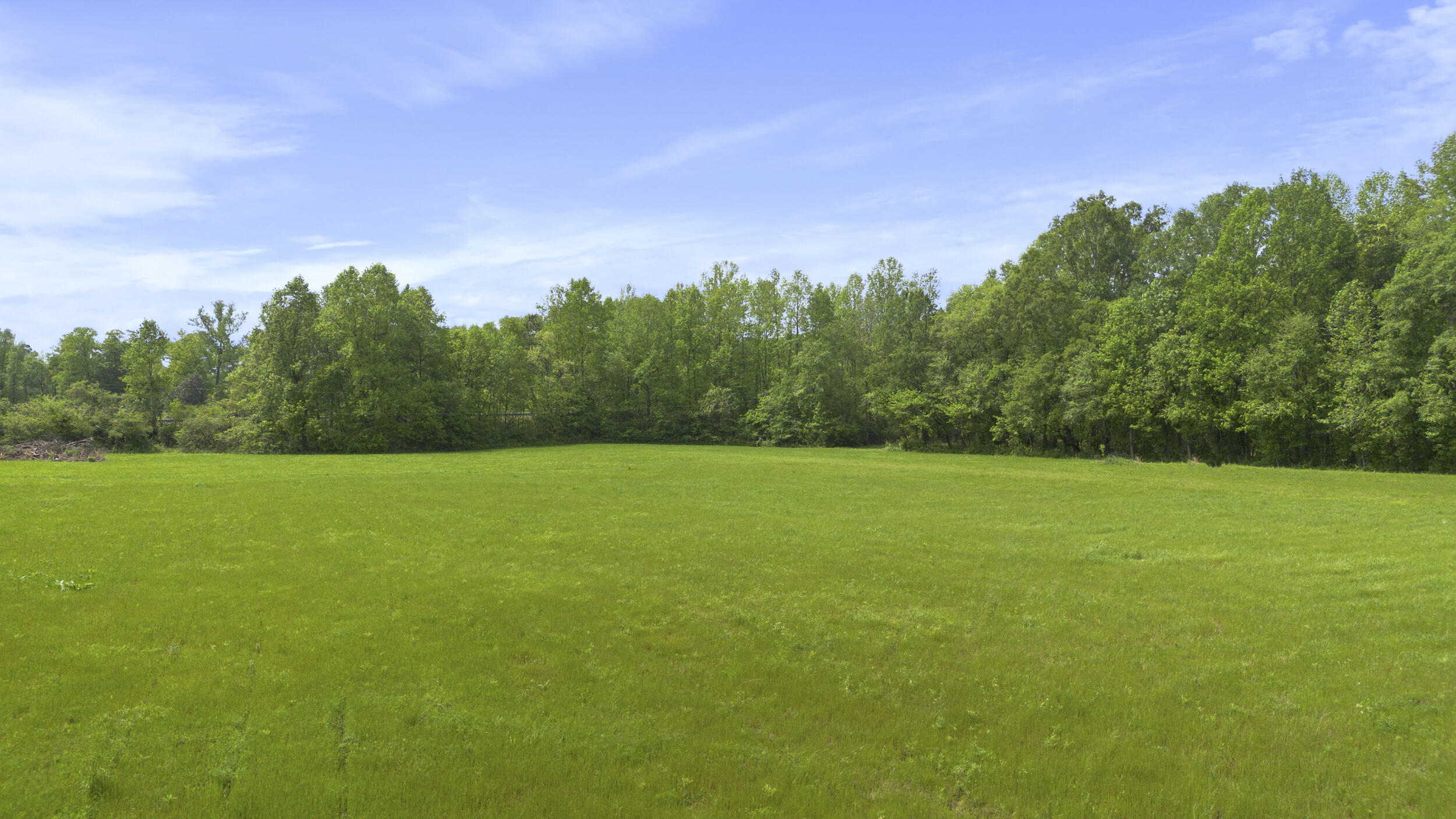 939 Reynolds Bridge Road Benton, TN 37307 - Photo 13 of 23 11_dji_0578