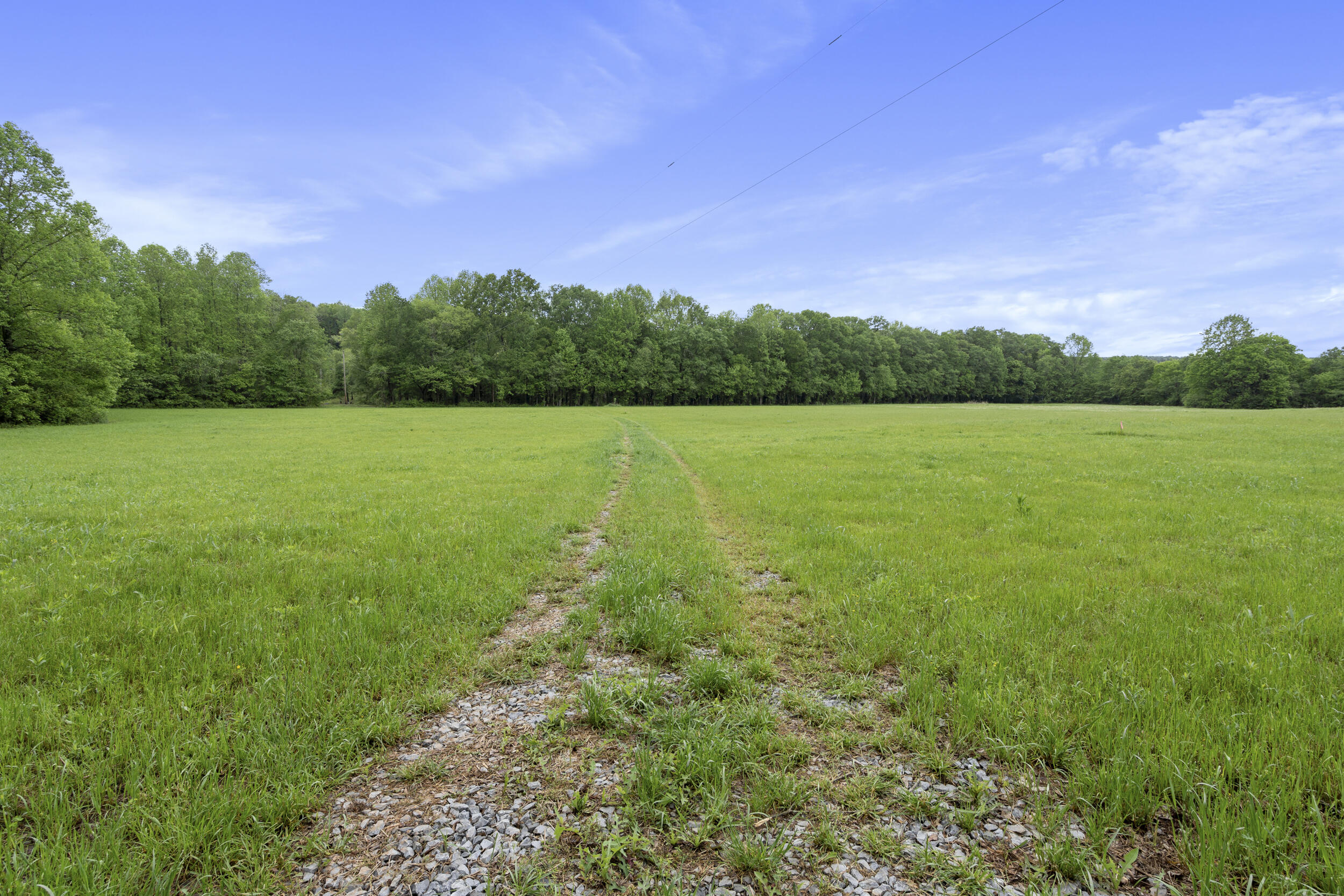 939 Reynolds Bridge Road Benton, TN 37307 - Photo 8 of 23 4_dsc00179