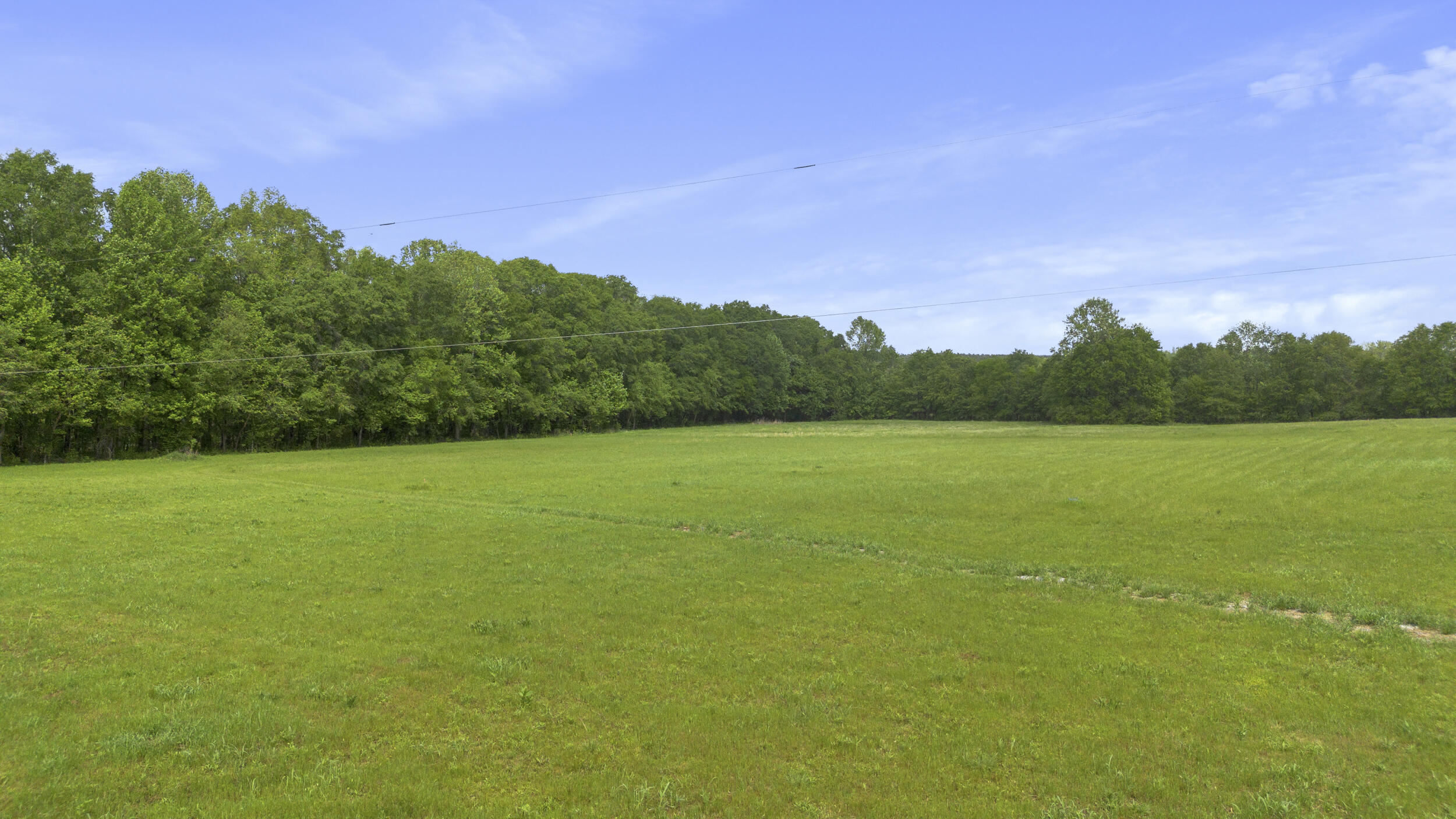 939 Reynolds Bridge Road Benton, TN 37307 - Photo 10 of 23 7_dji_0572