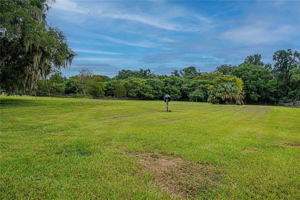 12615 Northwest Gainesville Road Reddick, FL 32686 - Photo 64 of 88 Gallery Image 64