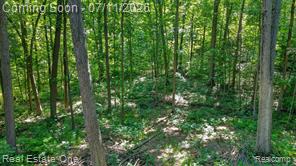 310 South Van Road Holly, MI 48442 - Photo 51 of 67