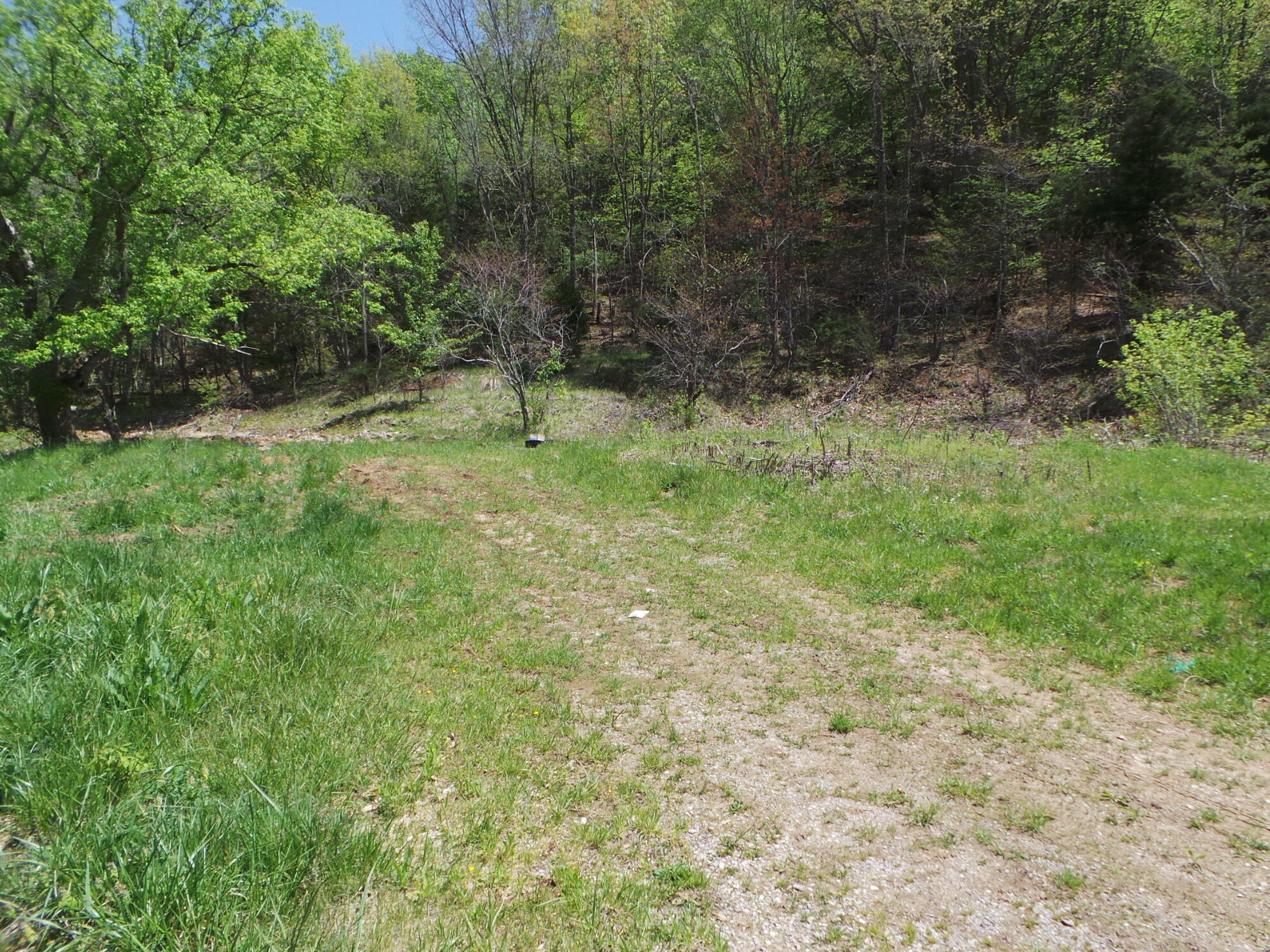 609 Island Road Kingsport, TN 37664 - Photo 6 of 36 6