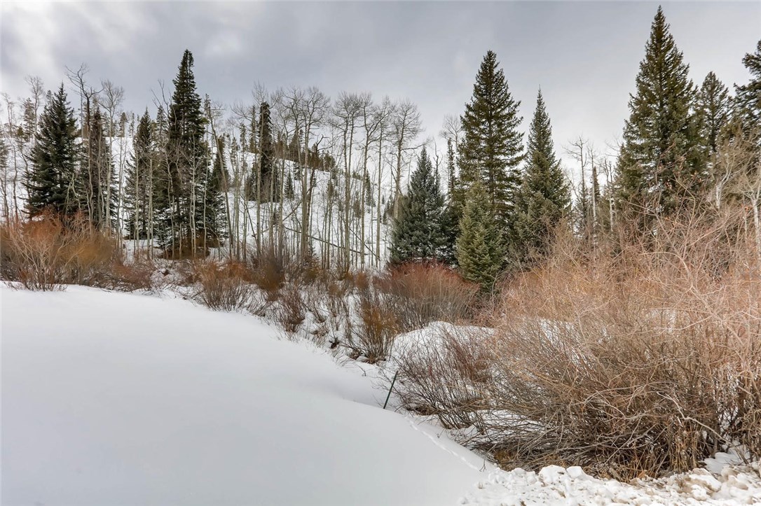33 Emerald Road Silverthorne, CO 80498 - Photo 7 of 25 More than 5 acres provides a nice private feel on open piece of land.