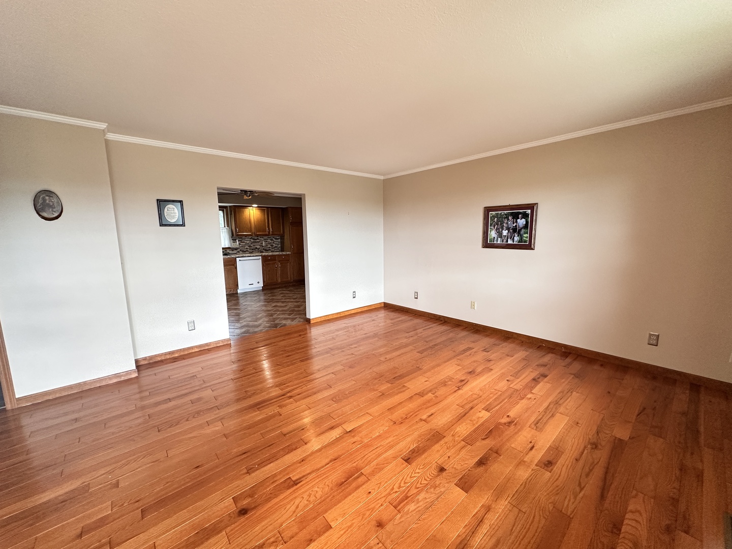 3 Village Road Mansfield, IL 61854 - Photo 7 of 21 Gallery Image 7