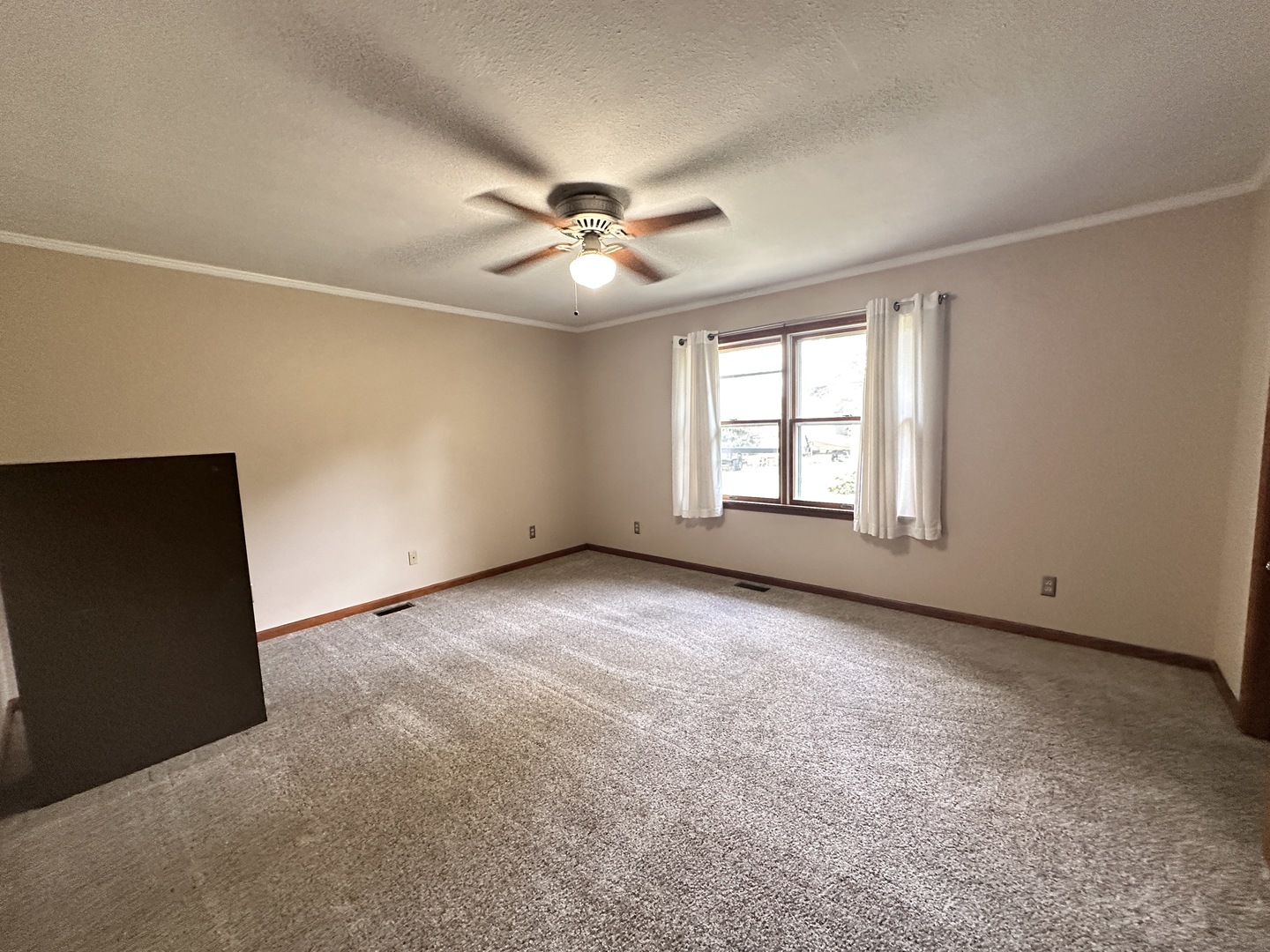 3 Village Road Mansfield, IL 61854 - Photo 8 of 21 Gallery Image 8