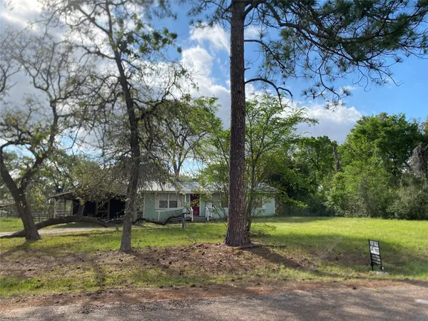 a view of a yard with a tree