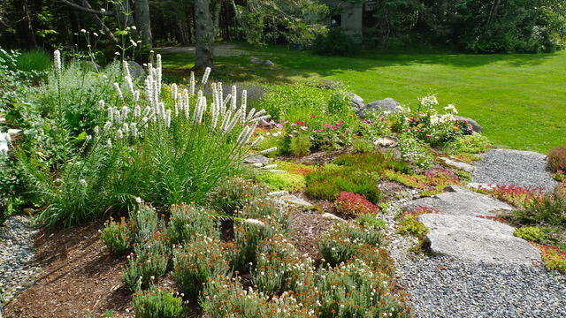 8 Carver Road Seal Cove, ME 04674 - Photo 9 of 62 Vibrant Gardens