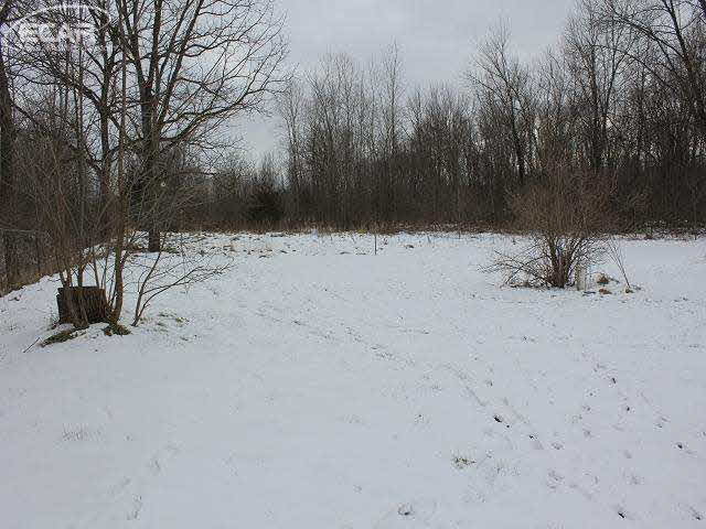 11615 Vernon Road Bancroft, MI 48414 - Photo 17 of 18 20458447-17.JPG