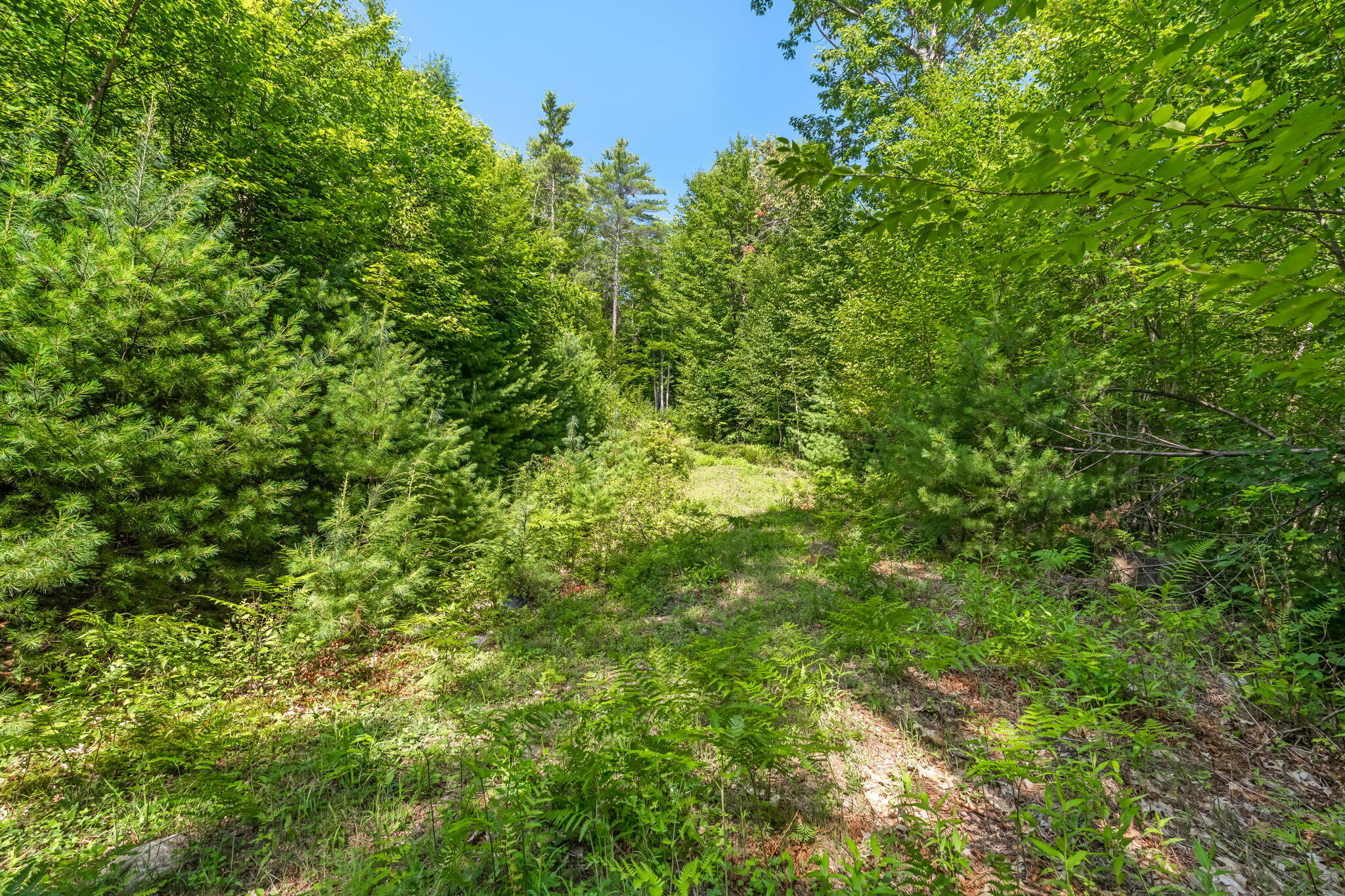 4 Youngs Road Canton, ME 04221 - Photo 6 of 22 6-web-or-mls-4-youngs-rd