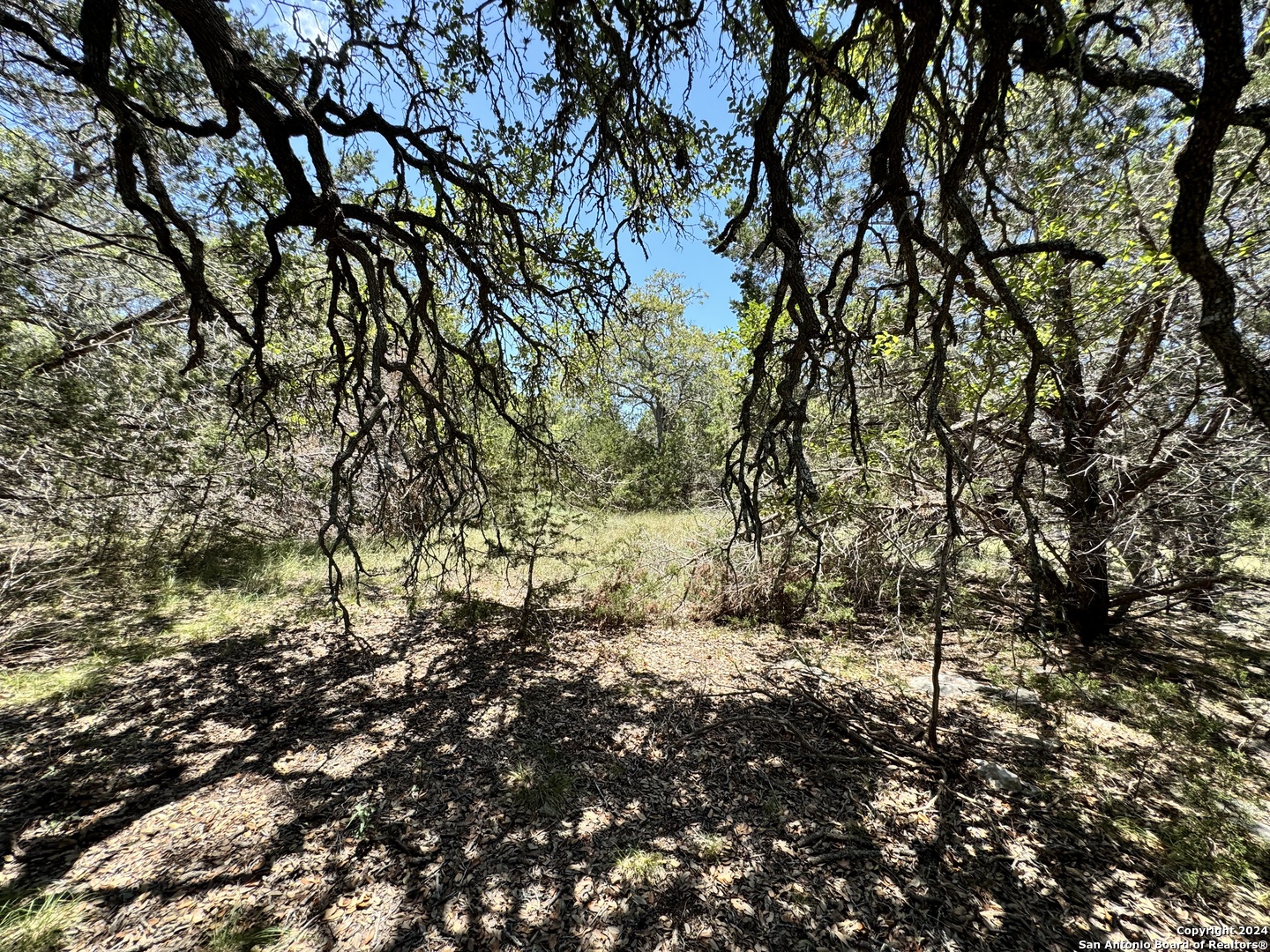 854 Maximino Ridge Bulverde, TX 78163 - Photo 11 of 21