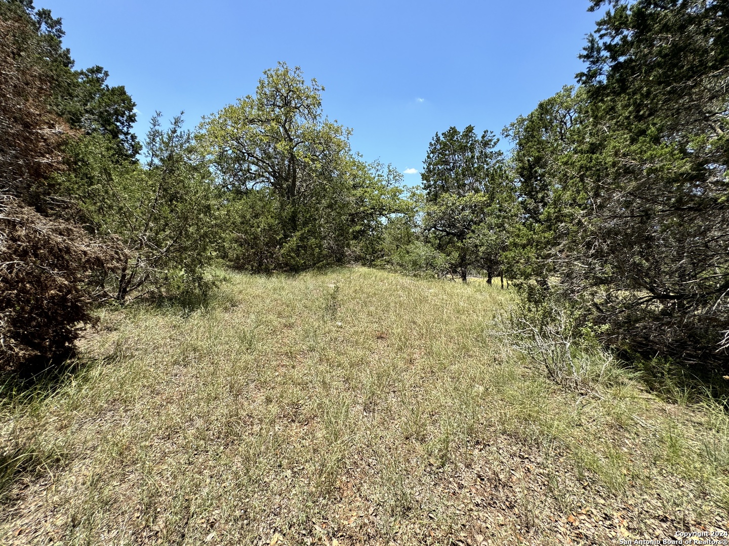 854 Maximino Ridge Bulverde, TX 78163 - Photo 14 of 21