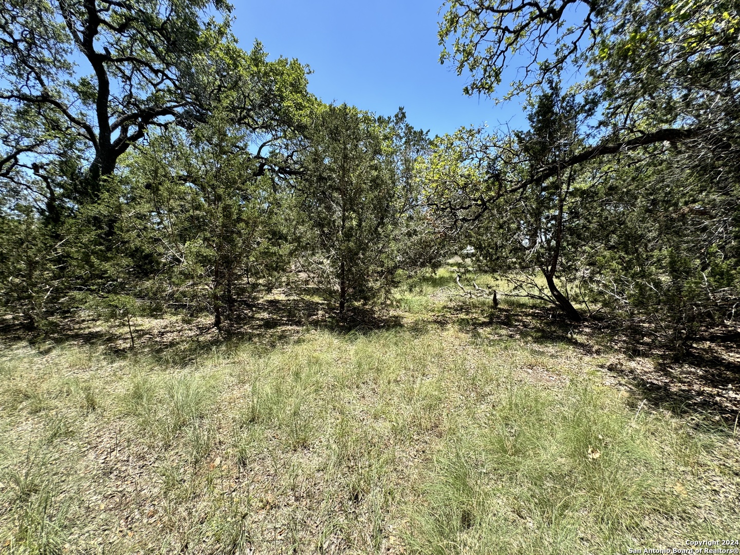 854 Maximino Ridge Bulverde, TX 78163 - Photo 15 of 21