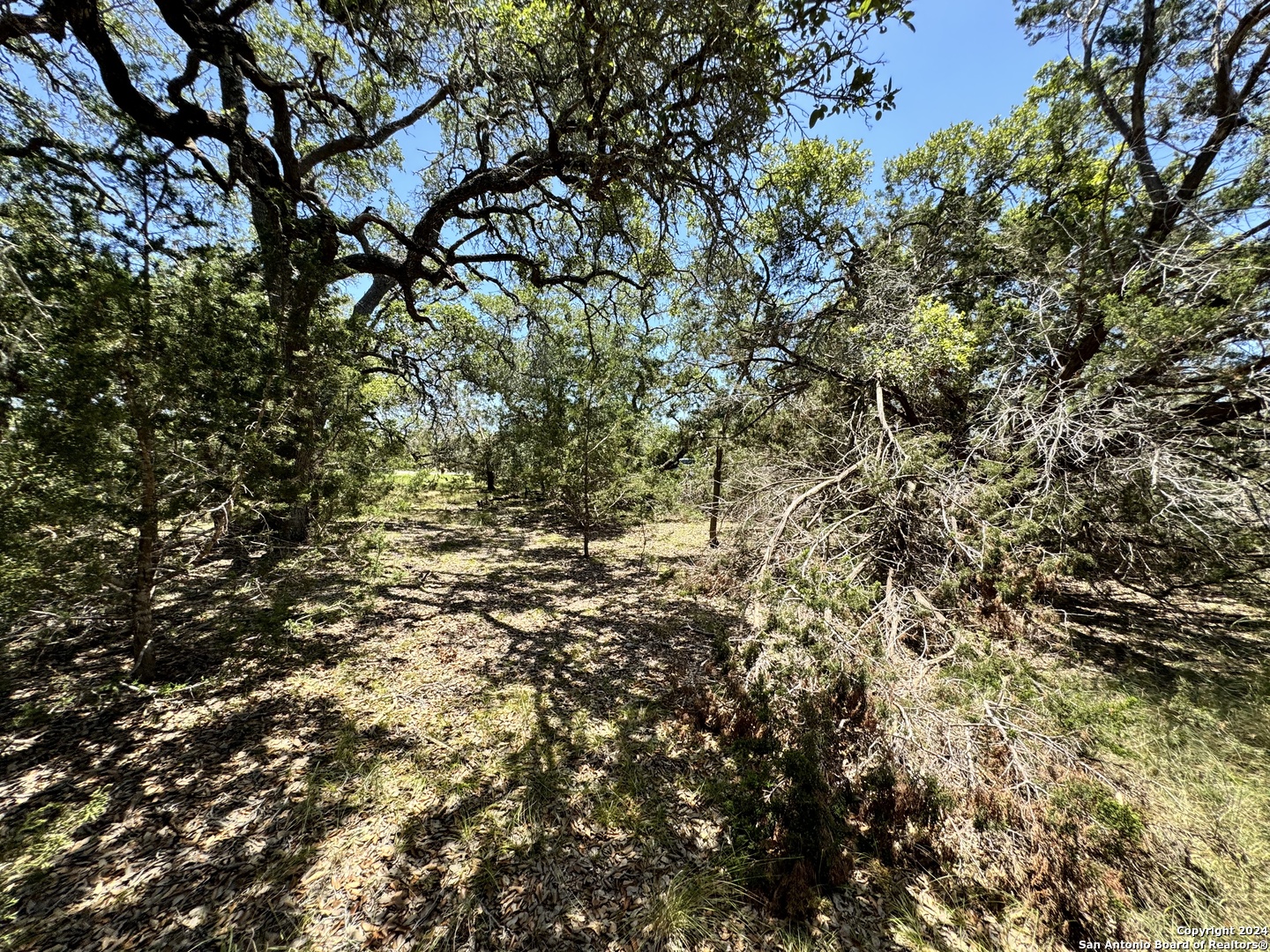 854 Maximino Ridge Bulverde, TX 78163 - Photo 16 of 21