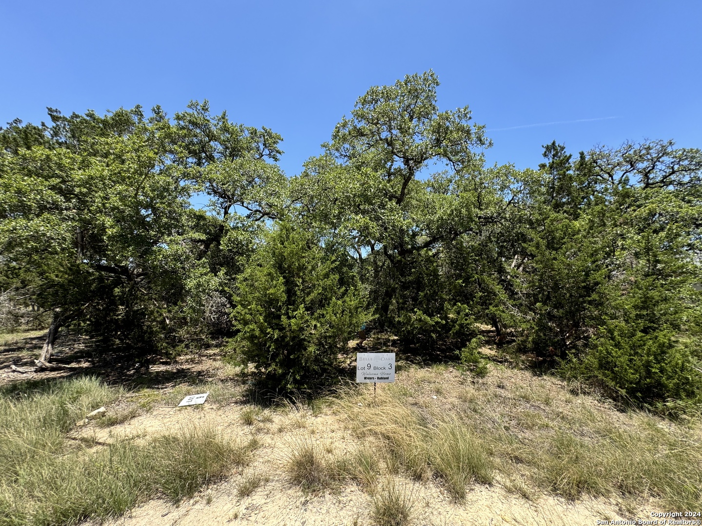 854 Maximino Ridge Bulverde, TX 78163 - Photo 2 of 21