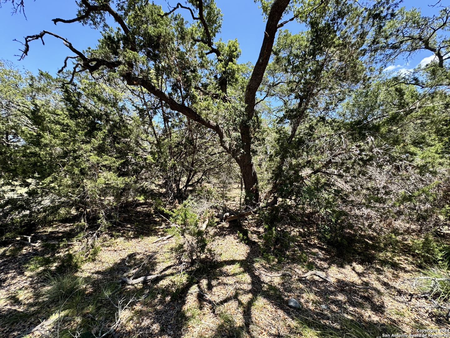 854 Maximino Ridge Bulverde, TX 78163 - Photo 3 of 21