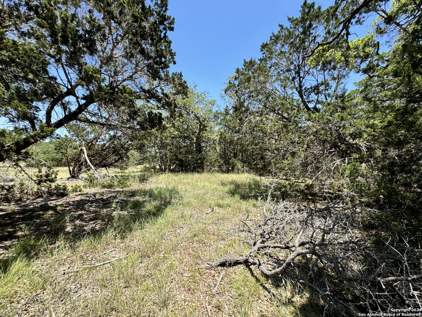 854 Maximino Ridge Bulverde, TX 78163 - Photo 4 of 21