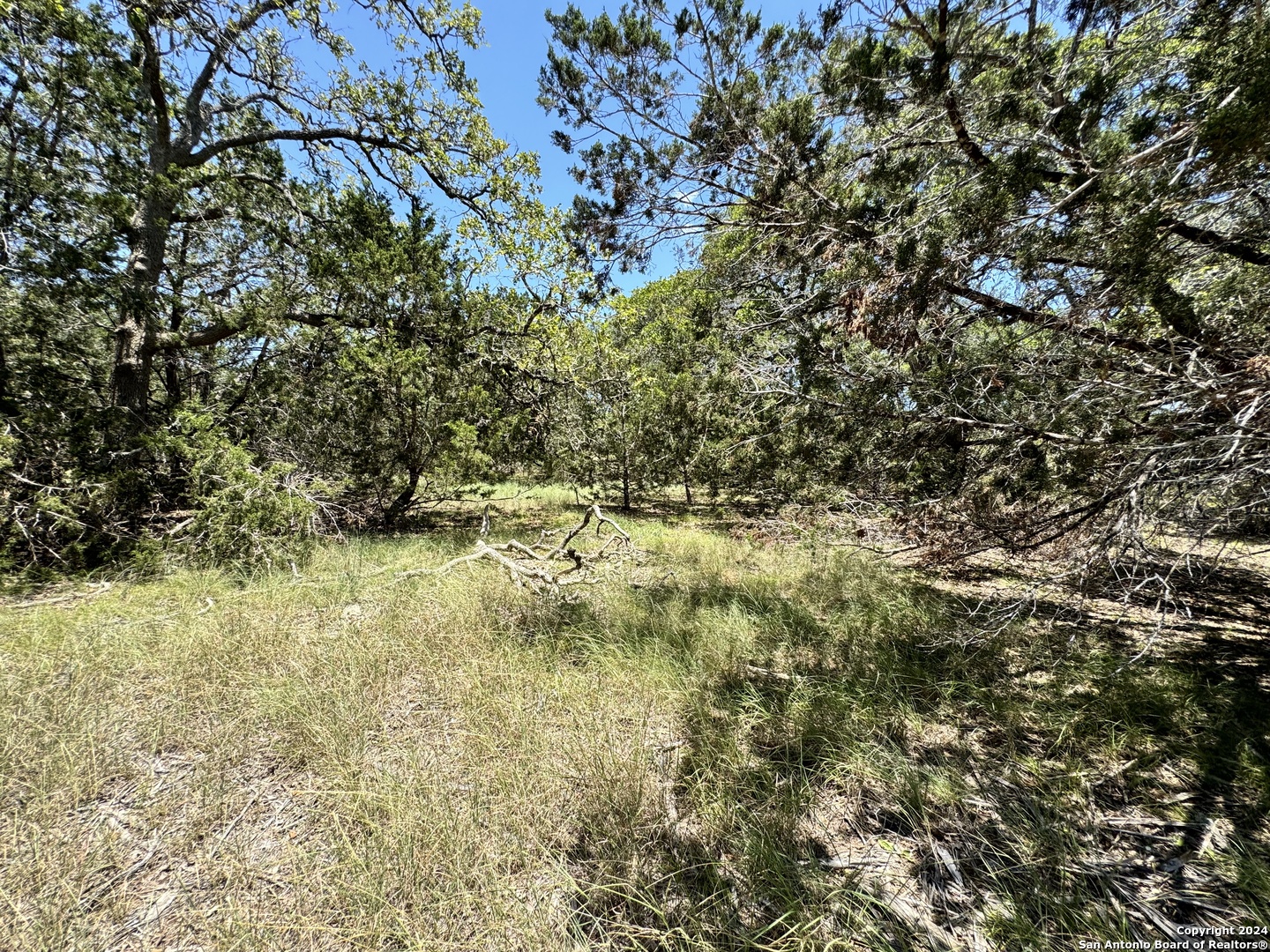 854 Maximino Ridge Bulverde, TX 78163 - Photo 5 of 21