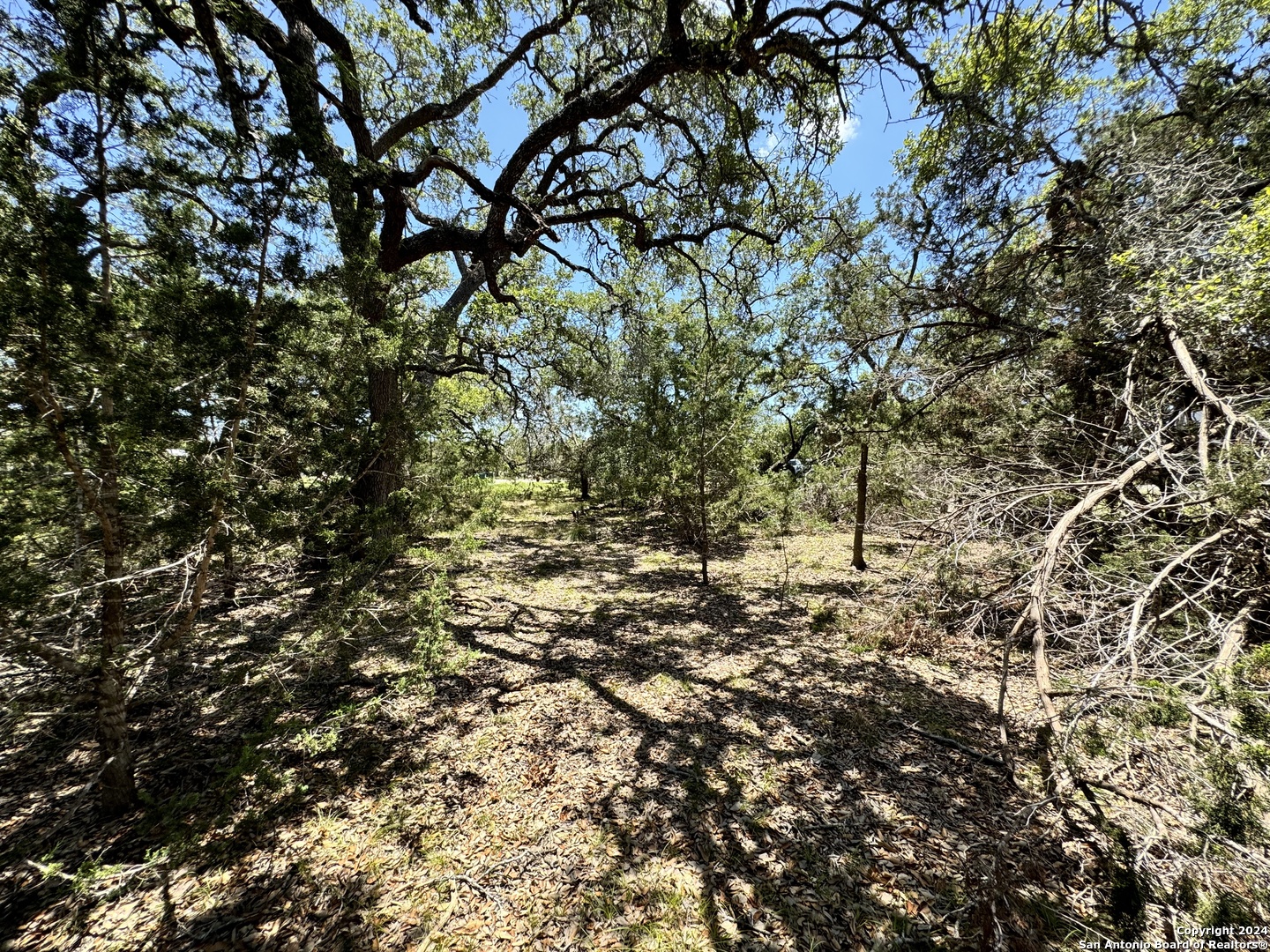 854 Maximino Ridge Bulverde, TX 78163 - Photo 6 of 21