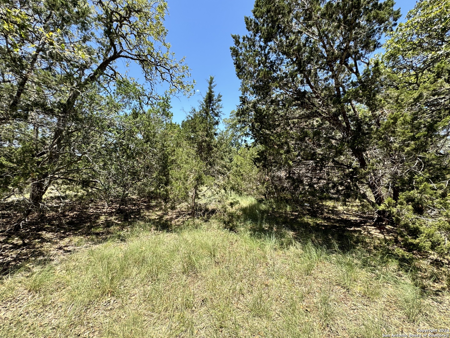 854 Maximino Ridge Bulverde, TX 78163 - Photo 7 of 21