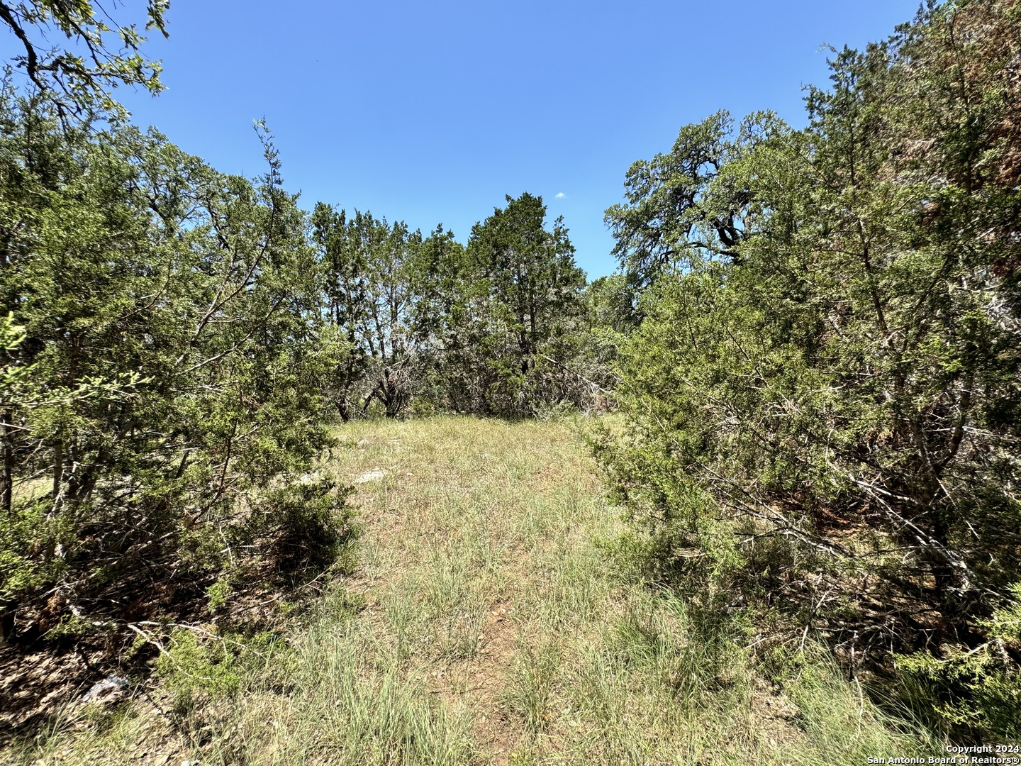 854 Maximino Ridge Bulverde, TX 78163 - Photo 8 of 21