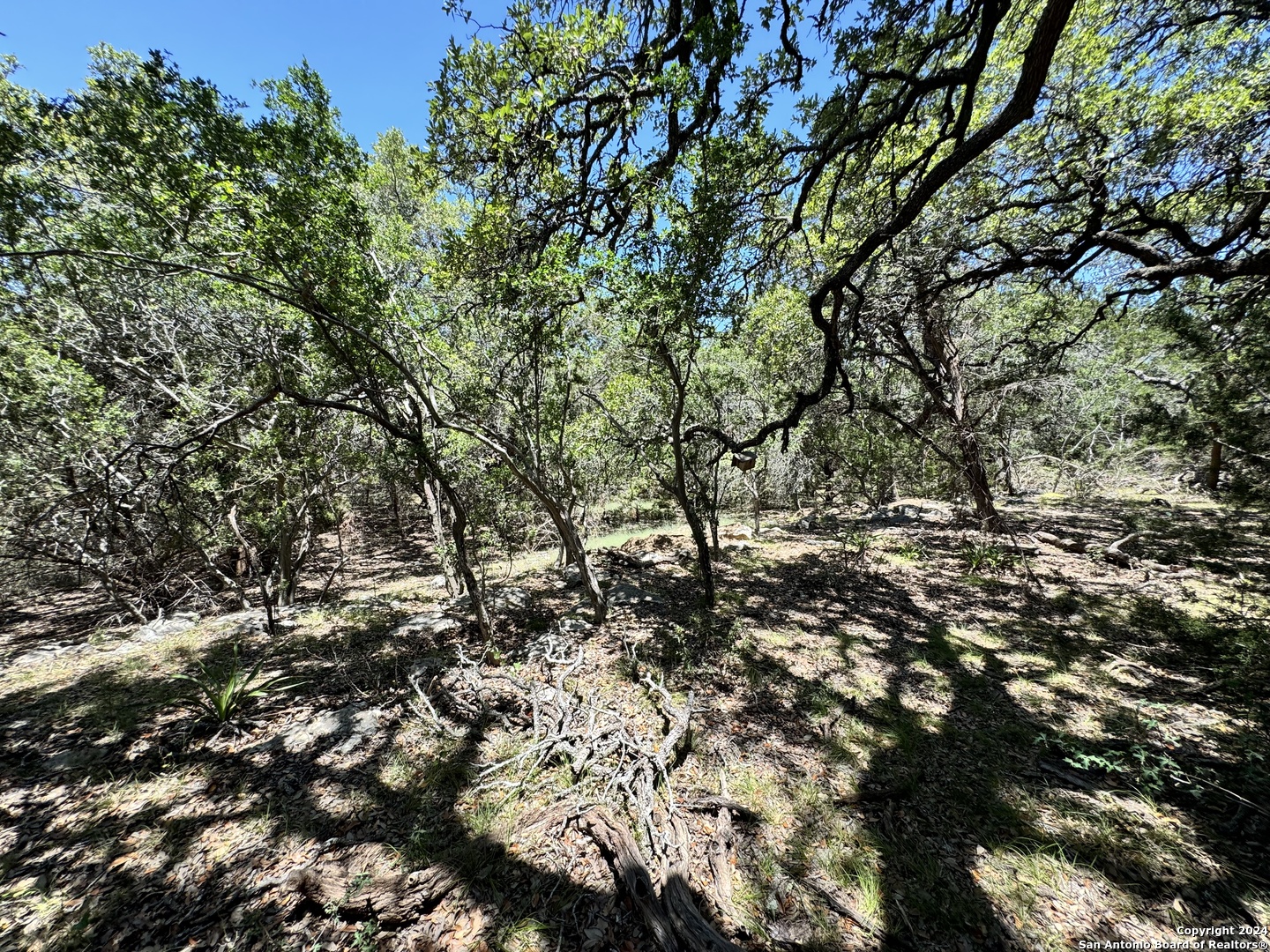 854 Maximino Ridge Bulverde, TX 78163 - Photo 10 of 21
