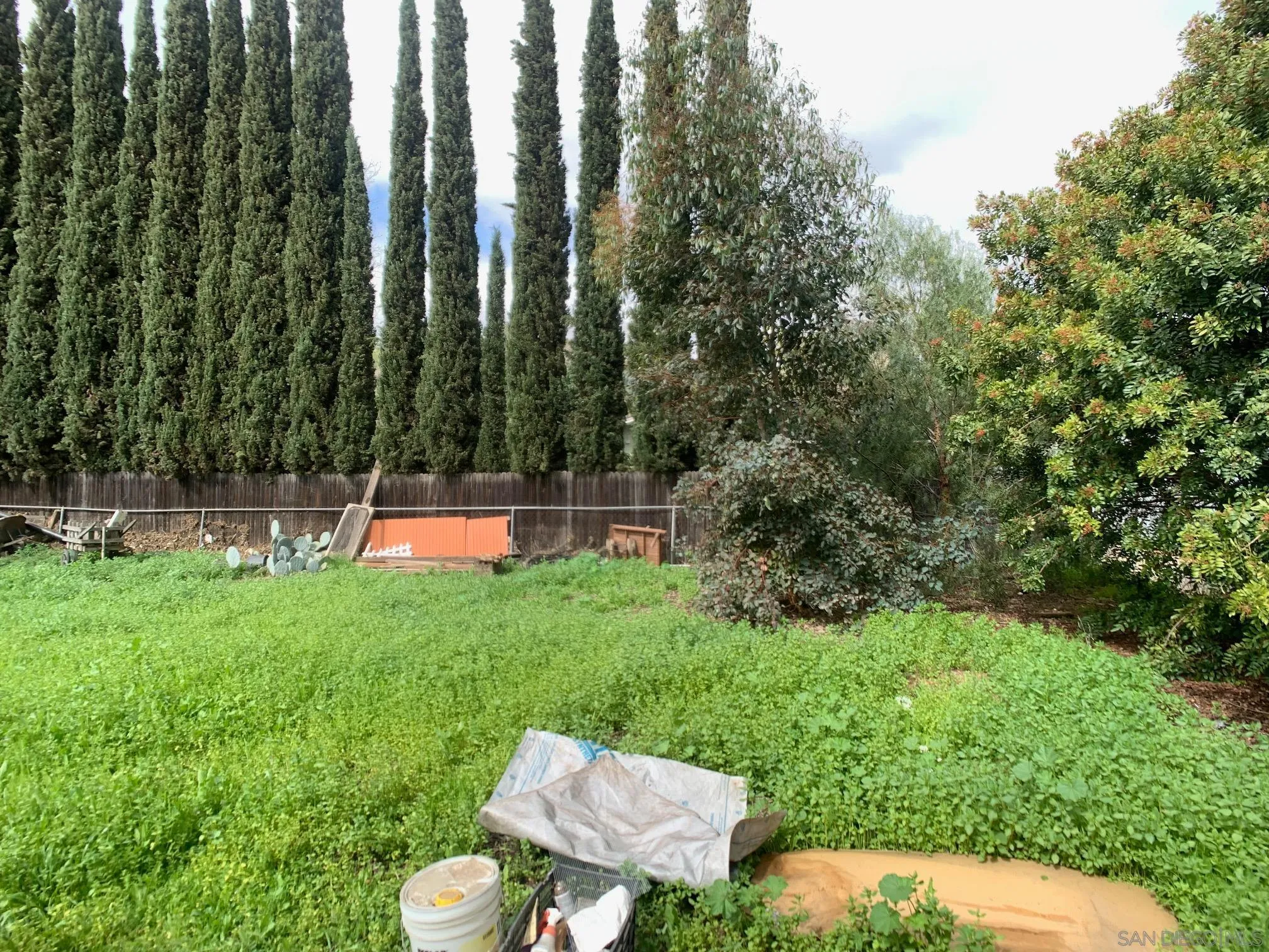 4240 Camino Paz La Mesa, CA 91941 - Photo 29 of 33 a view of a backyard with plants and garden