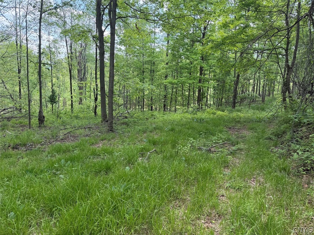 Dye Road South Dayton, NY 14138 - Photo 22 of 27