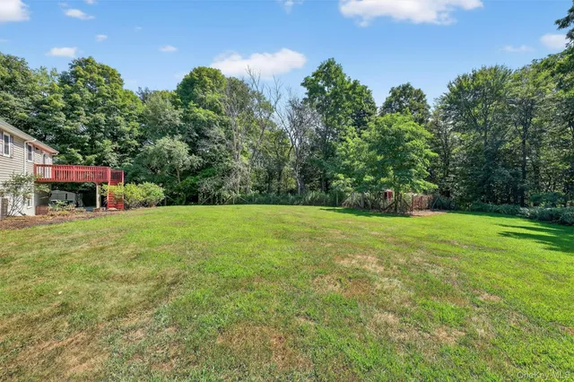a view of a field with a tree