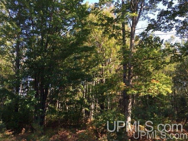 108 Blueberry Corner Road, Unit 3 Crystal Falls, MI 49920 - Photo 18 of 20 Gallery Image 18