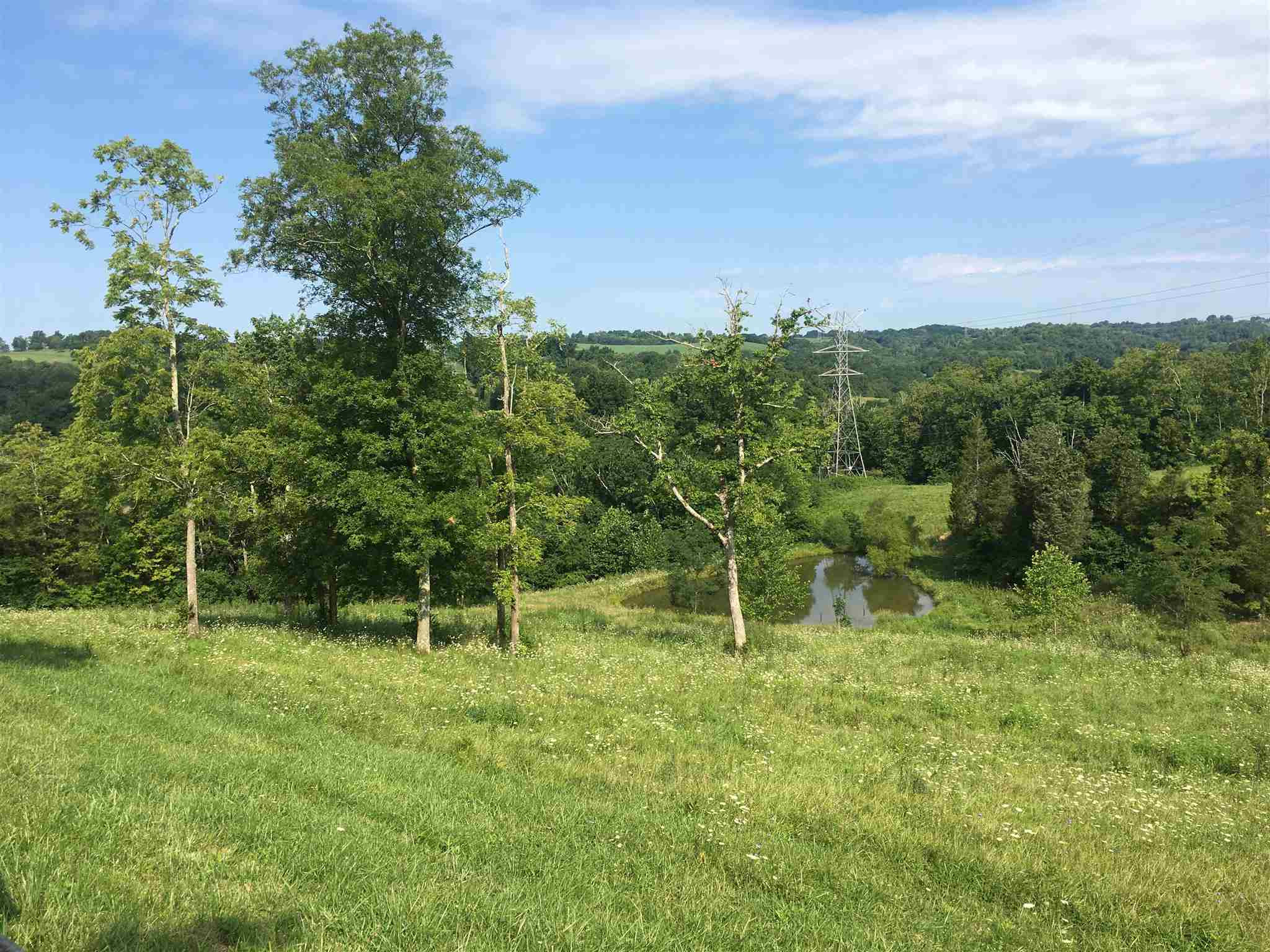 3369 Fender Road Melbourne, KY 41059 - Photo 34 of 50