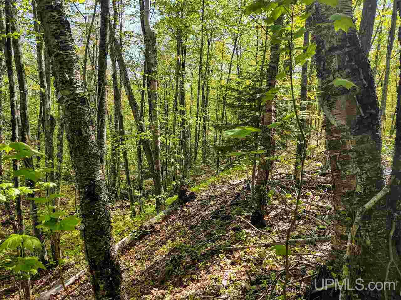 Tbd-parcel Point Abbaye Road Lanse, MI 49946 - Photo 22 of 26