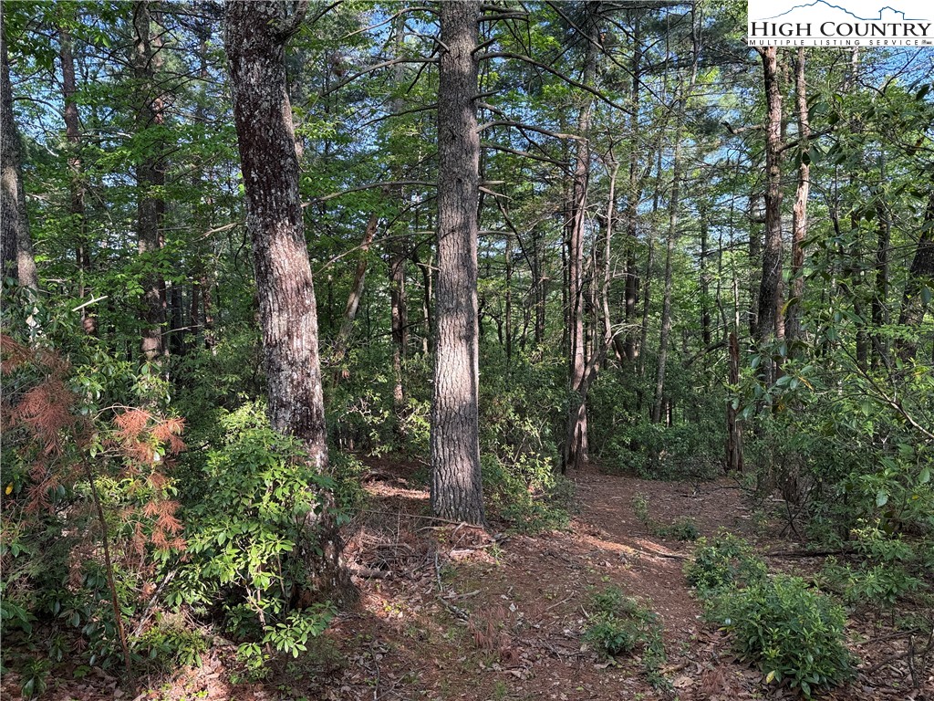 Lot 27 Wolf Pen Road Purlear, NC 28665 - Photo 16 of 48 a view of forest