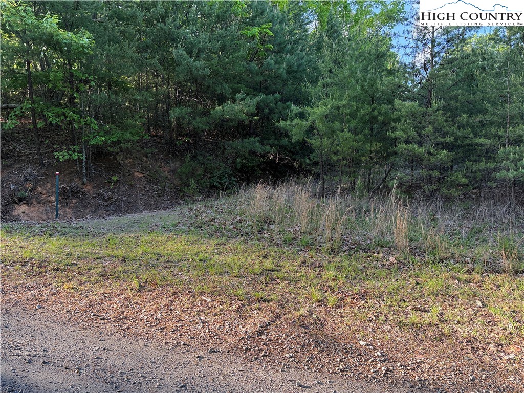 Lot 27 Wolf Pen Road Purlear, NC 28665 - Photo 20 of 48 a view of a yard